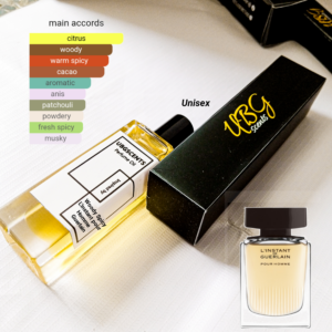 Ubgscents oil perfume inspired by L'Instant Pour Homme